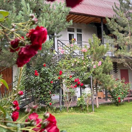 Podsolnukhi Guest House Tscholponata Exterior foto