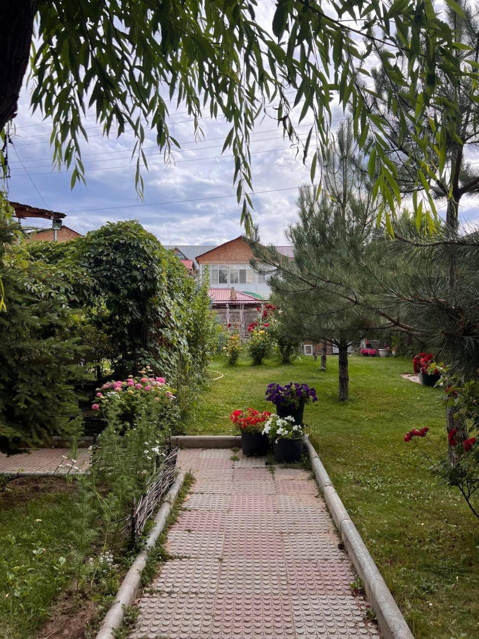 Podsolnukhi Guest House Tscholponata Exterior foto