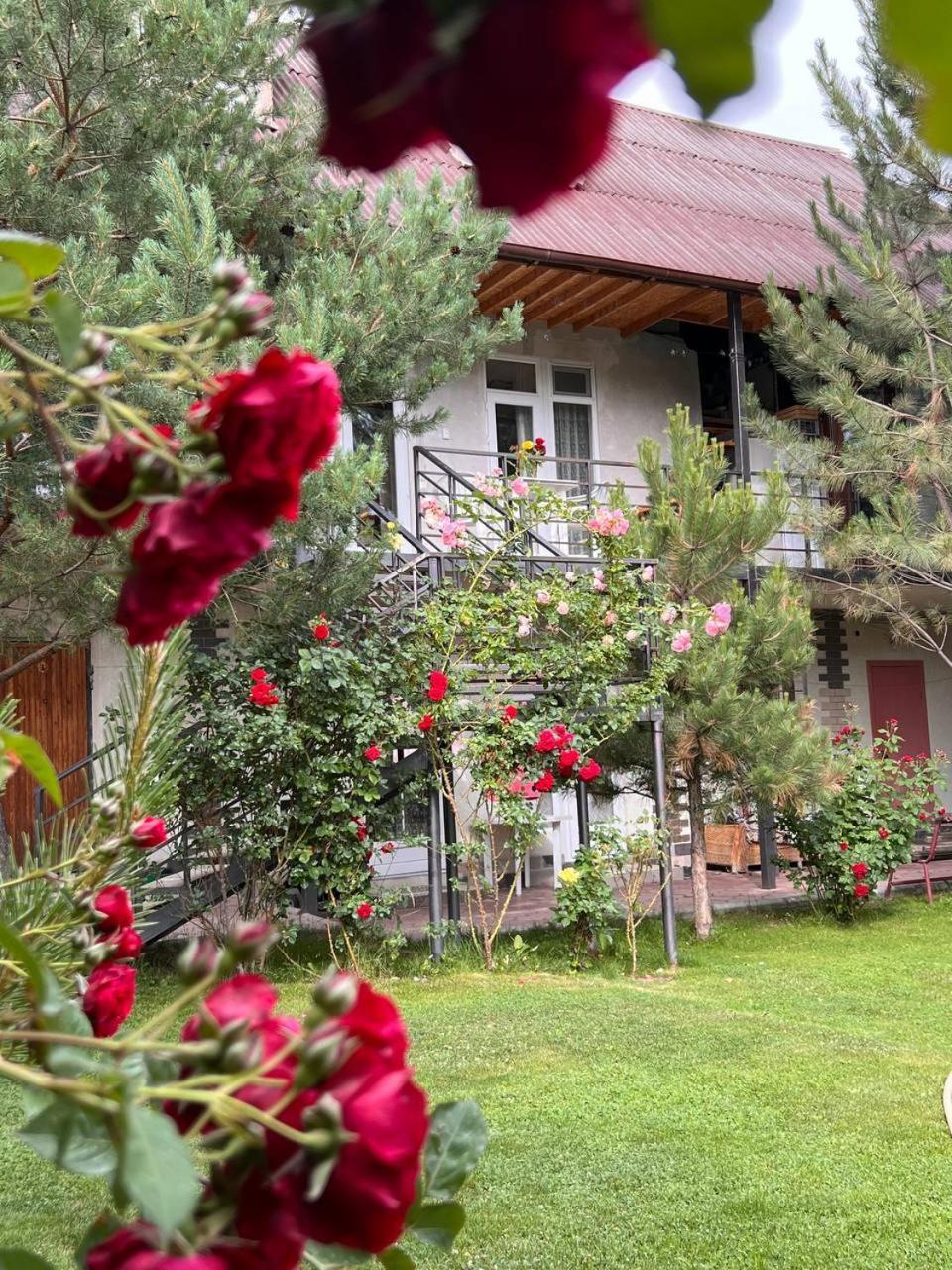 Podsolnukhi Guest House Tscholponata Exterior foto